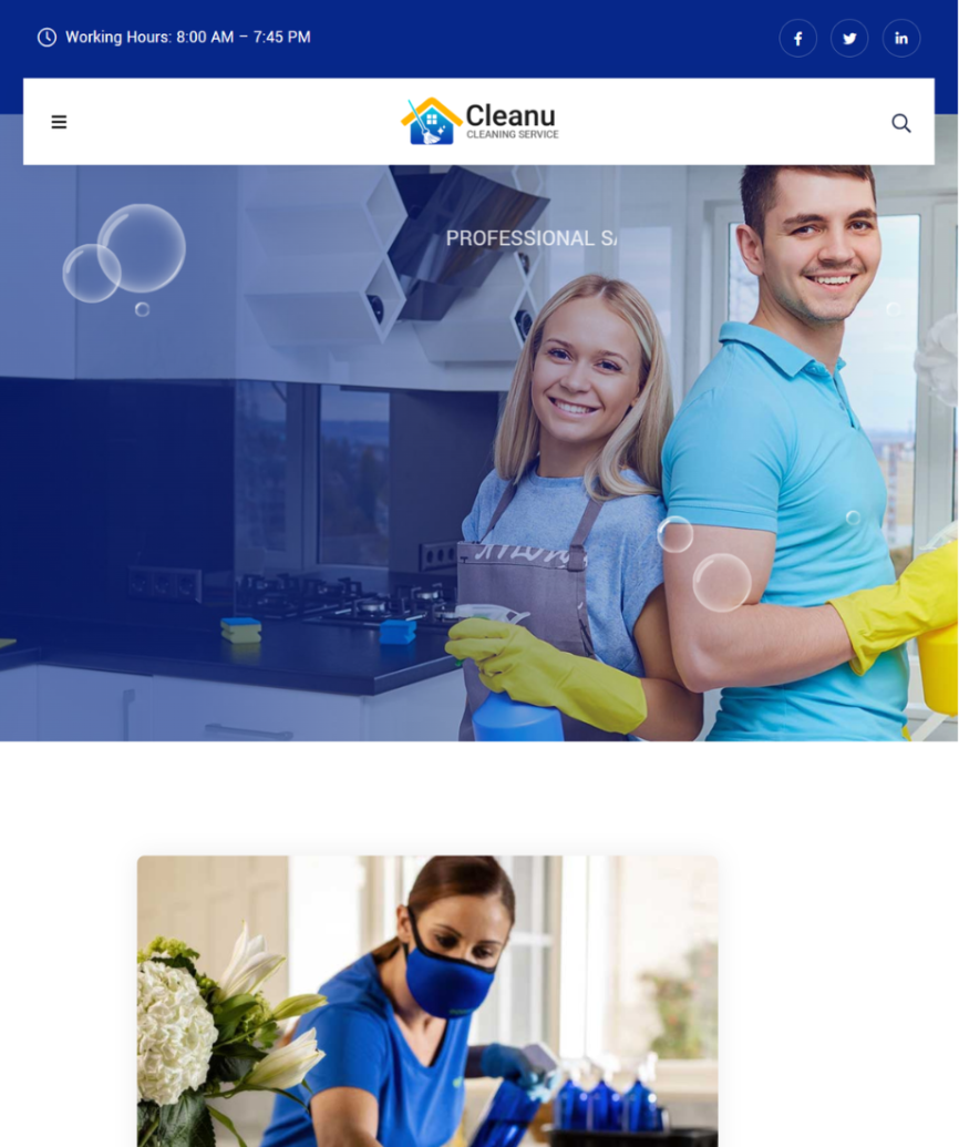 Cleaning Services 02