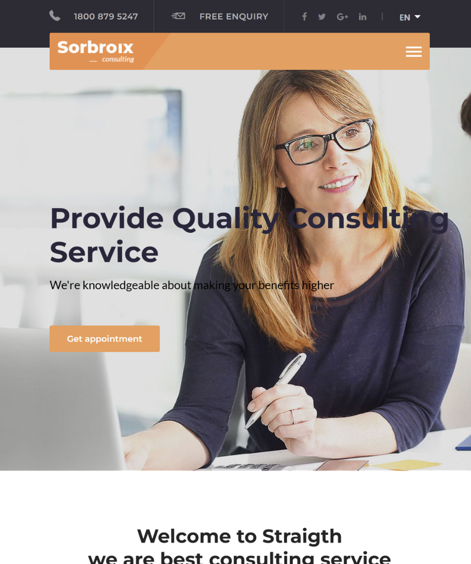 Professional Business 01